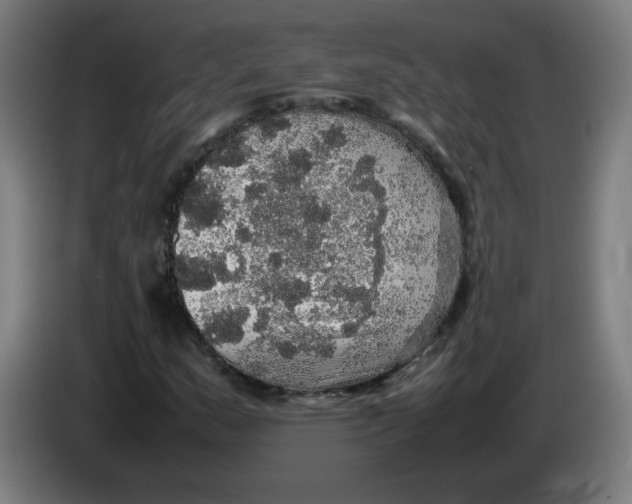 X0000085271159200703301848