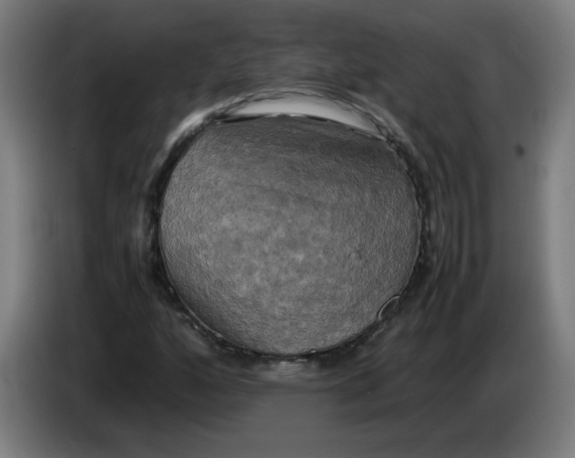 X0000085271160200703301848