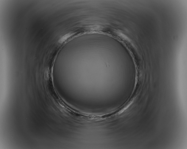 X0000085271161200703301848