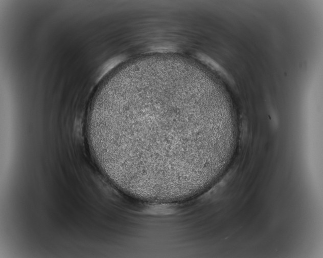 X0000085271162200703301848