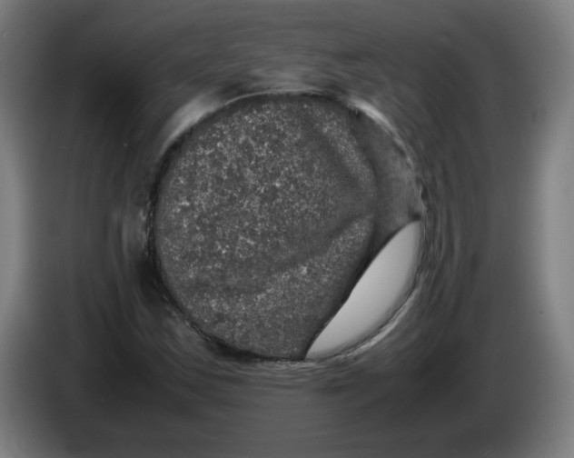 X0000085271163200703301848