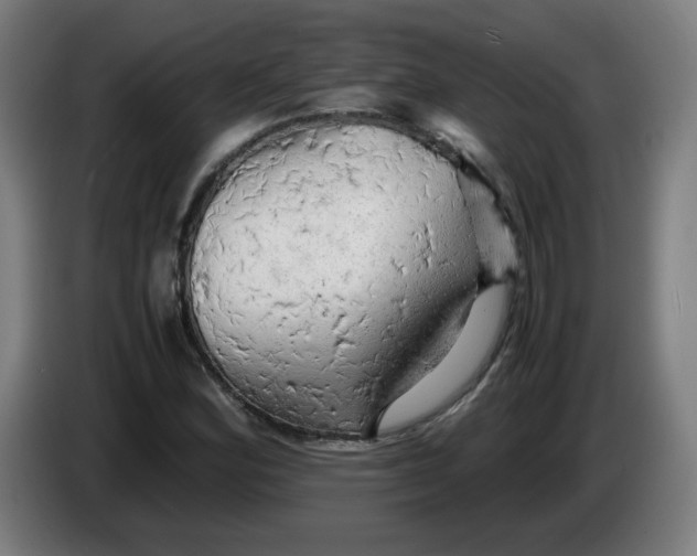 X0000085271164200703301848