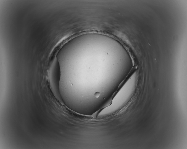 X0000085271165200703301848