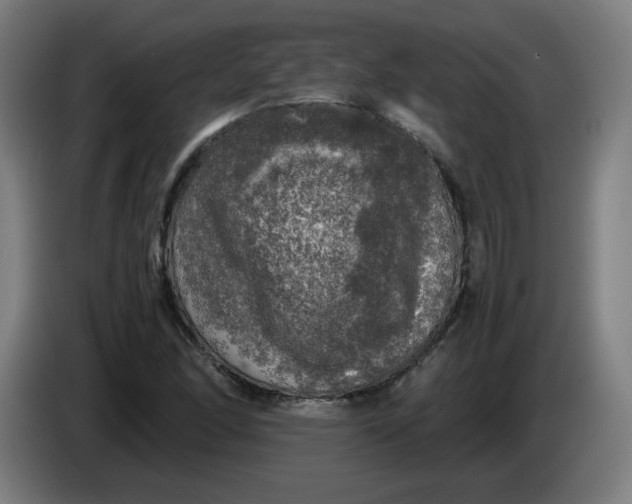 X0000085271166200703301848