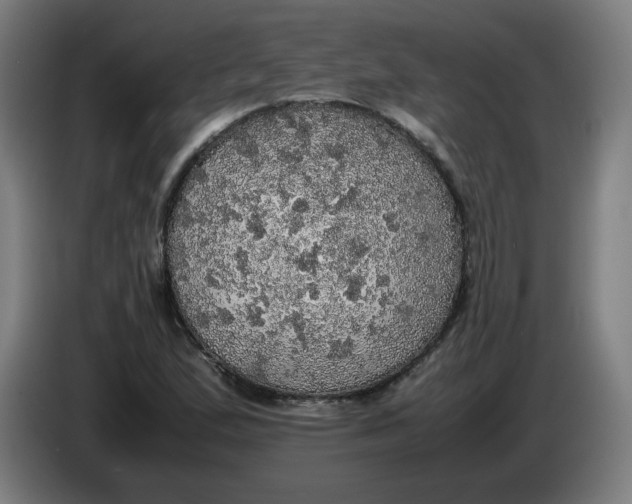 X0000085271167200703301848