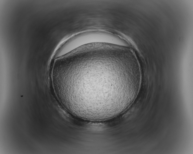 X0000085271168200703301848