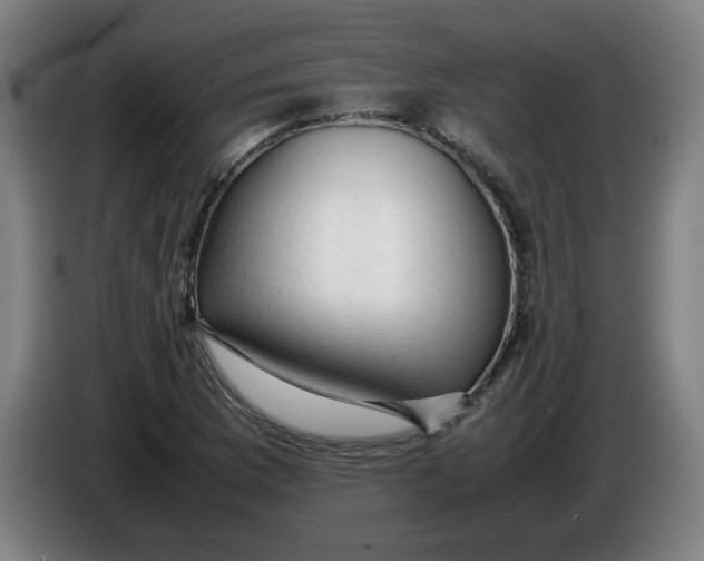 X0000085271169200703301848