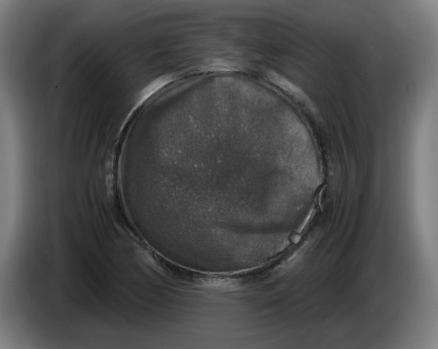 X0000085271170200703301848