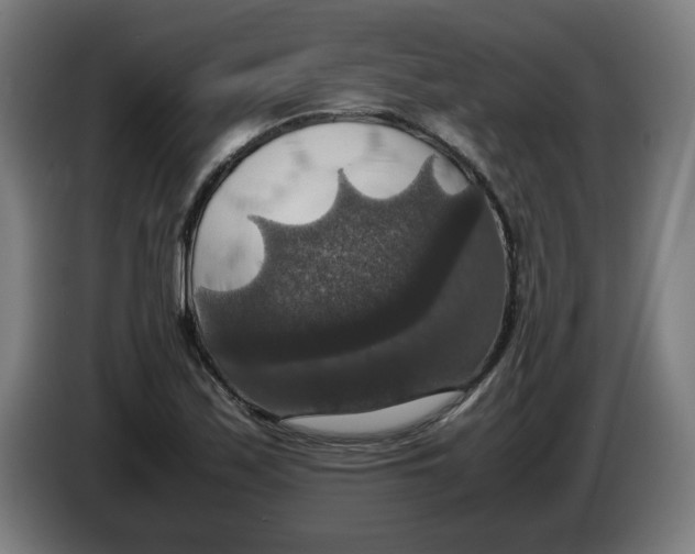 X0000085271171200703301848