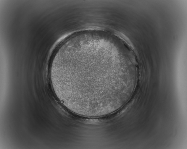 X0000085271172200703301848