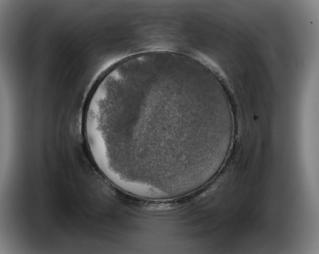 X0000085271174200703301848