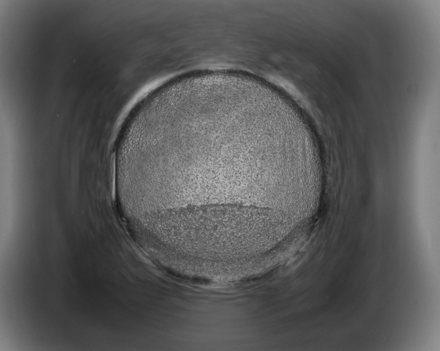 X0000085271175200703301848