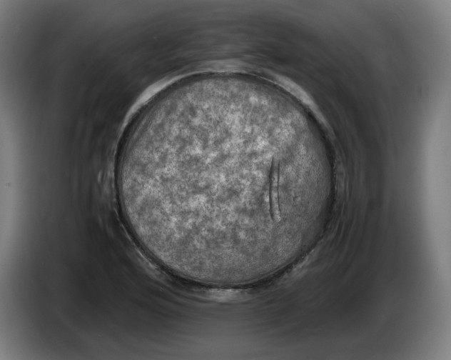 X0000085271176200703301848