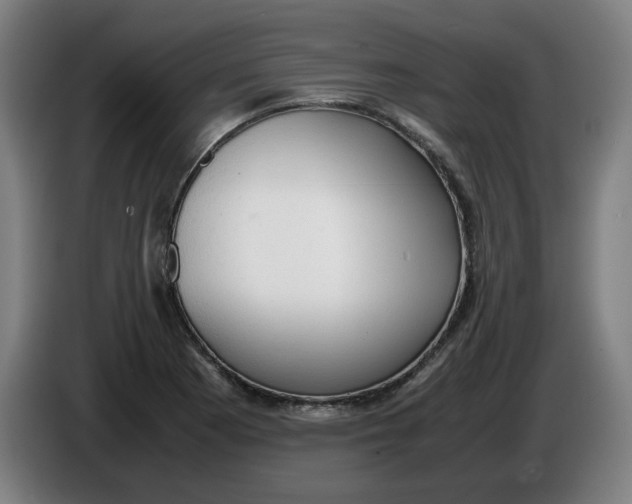 X0000085271177200703301848