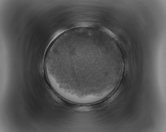 X0000085271178200703301848