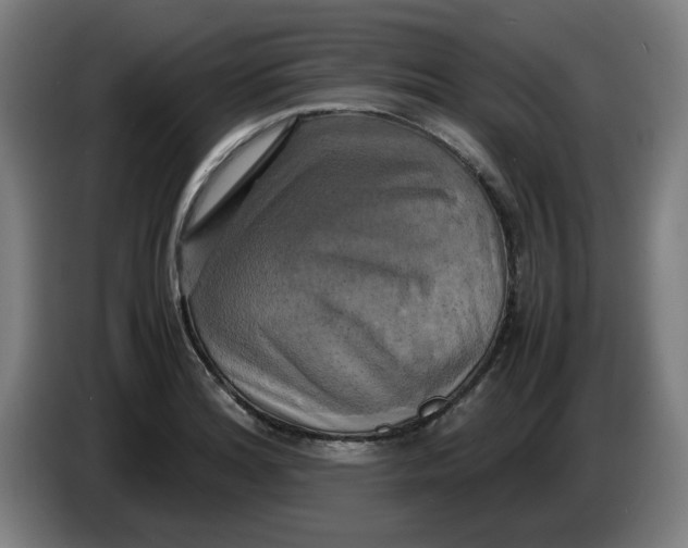 X0000085271180200703301848