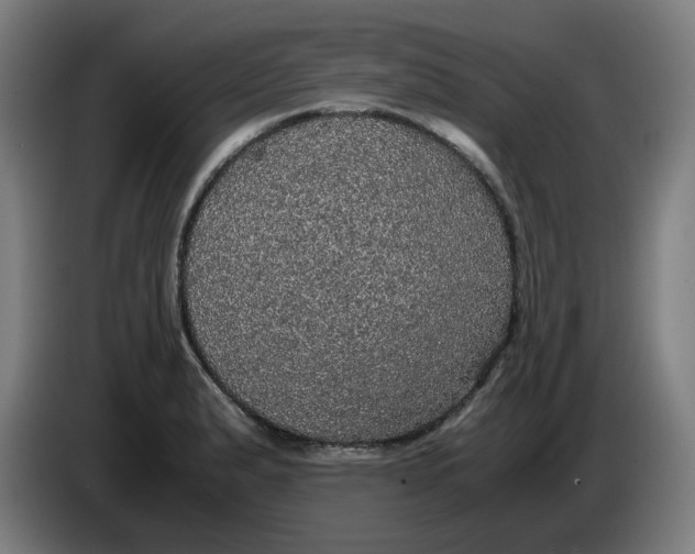 X0000085271183200703301848