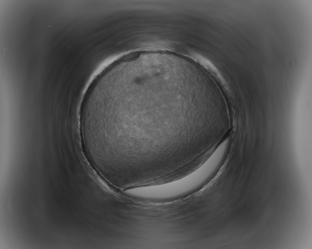 X0000085271184200703301848