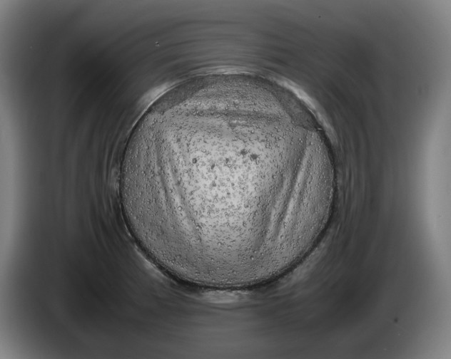 X0000085271185200703301848