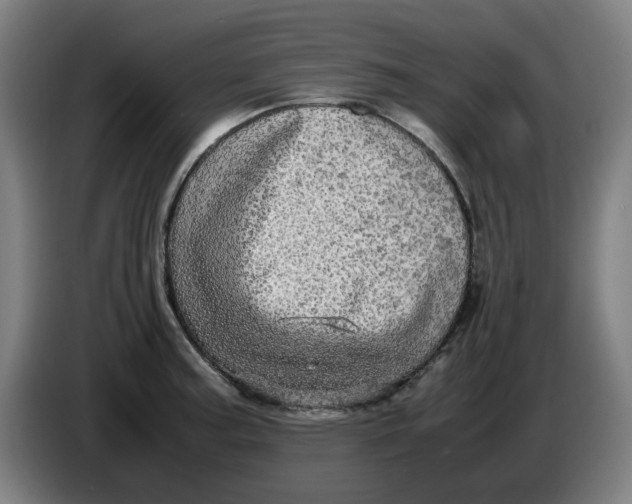 X0000085271187200703301848