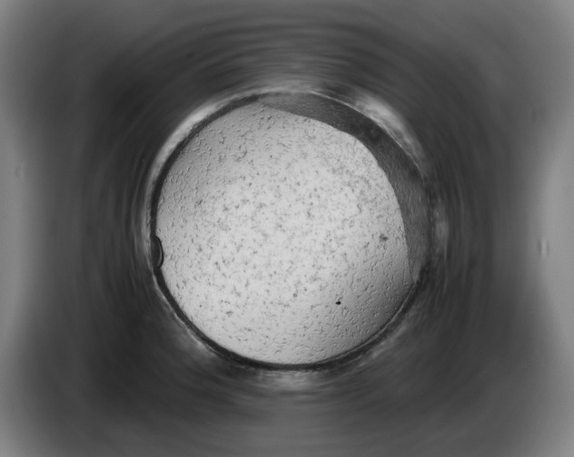 X0000085271188200703301848