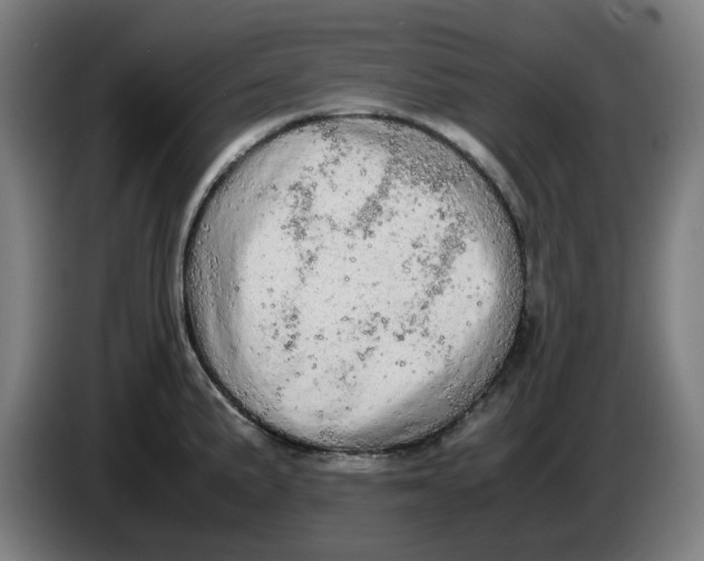 X0000085271191200703301847