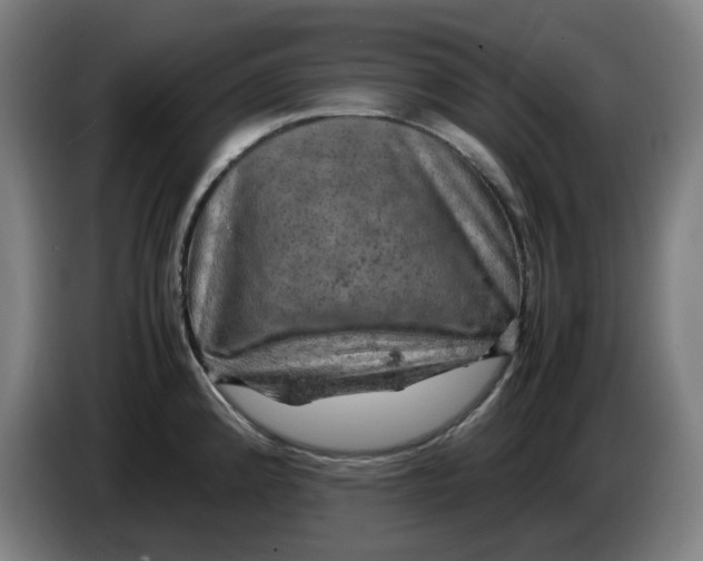 X0000085271192200703301847