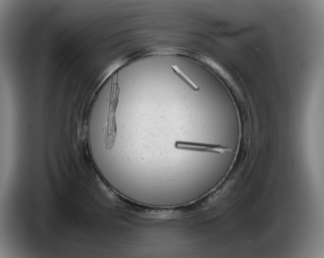 X0000085271193200703301847