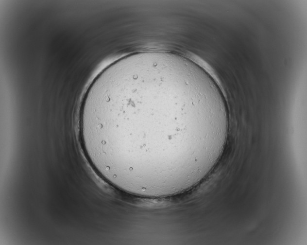 X0000085271195200703301847