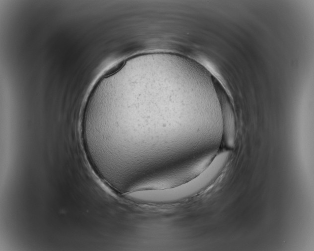 X0000085271197200703301847