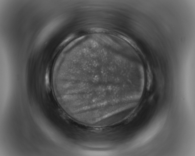 X0000085271198200703301847