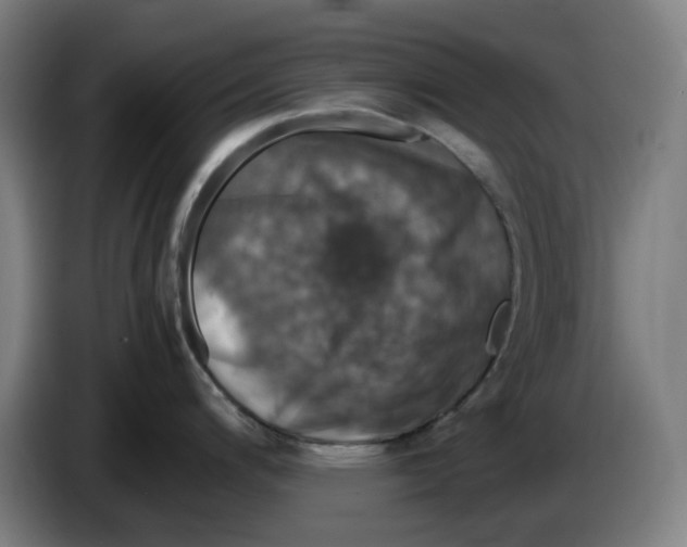 X0000085271200200703301847