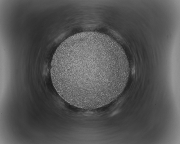 X0000085271204200703301847