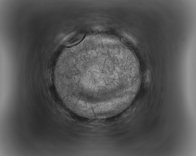 X0000085271205200703301847