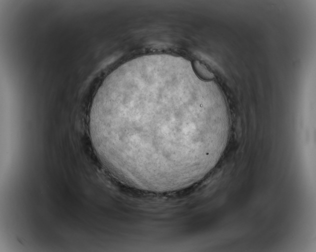 X0000085271207200703301847