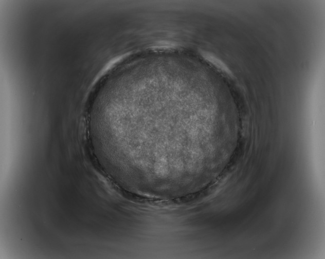 X0000085271208200703301847