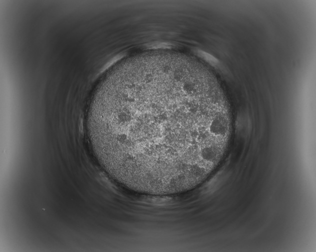 X0000085271209200703301847