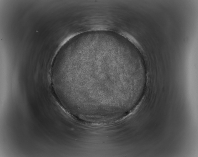 X0000085271212200703301847