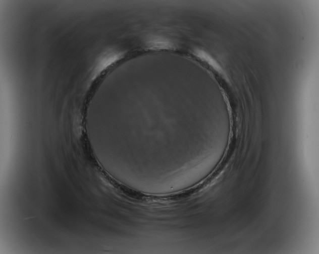 X0000085271213200703301847