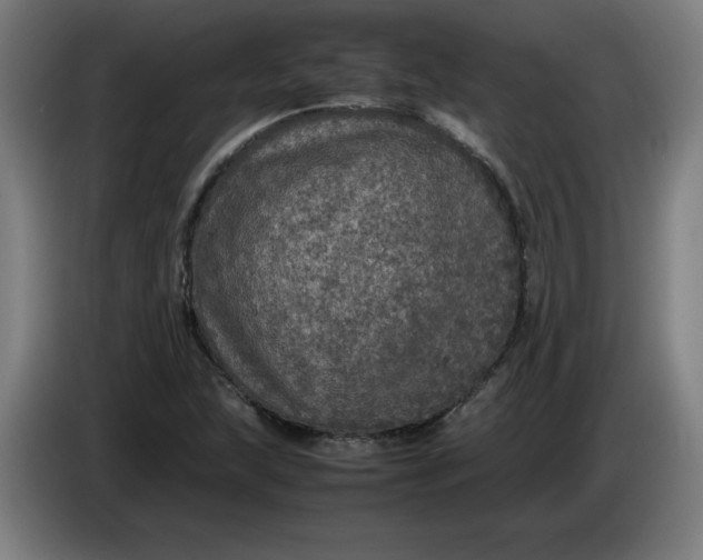 X0000085271215200703301847