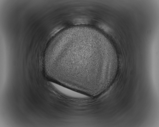 X0000085271217200703301847