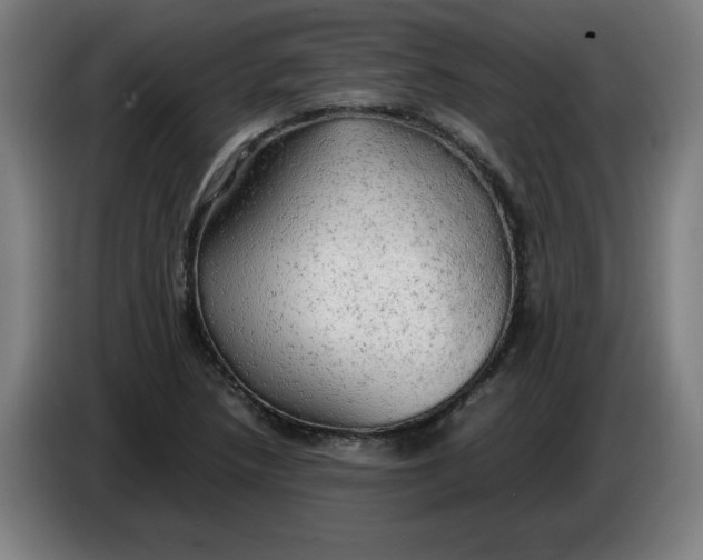 X0000085271218200703301847