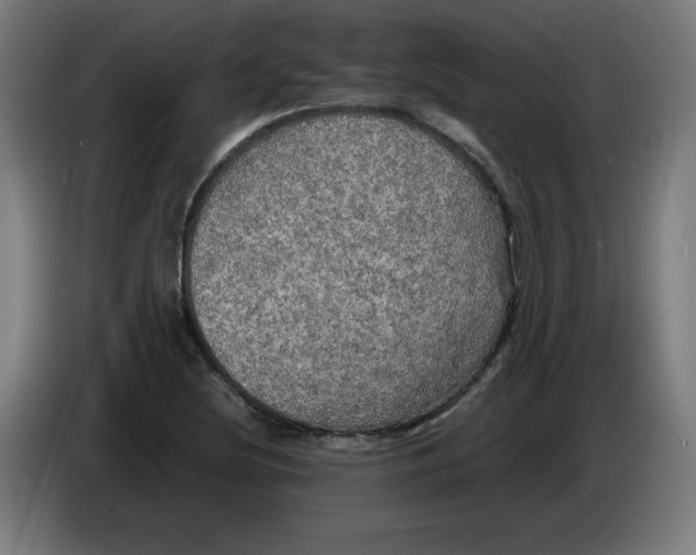 X0000085271220200703301847