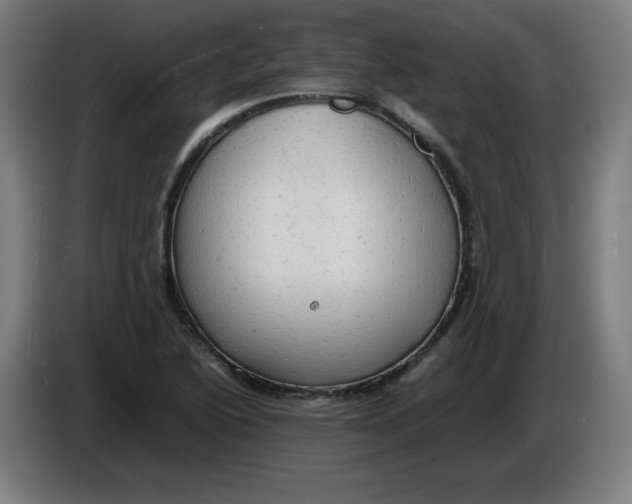 X0000085271222200703301847