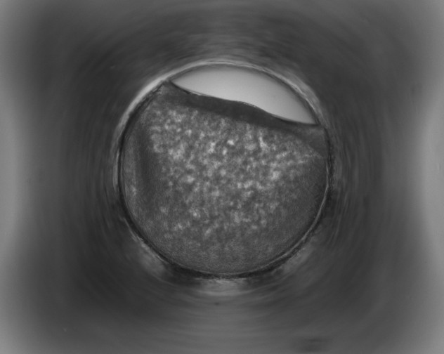 X0000085271224200703301847