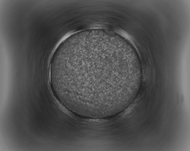 X0000085271227200703301847