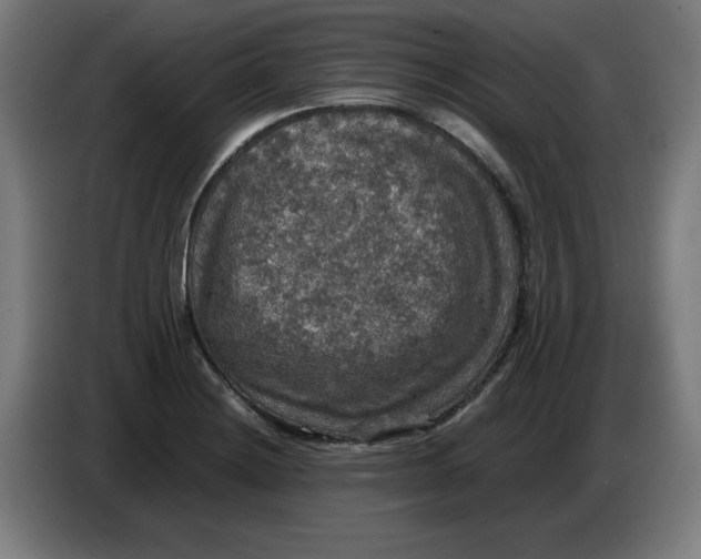 X0000085271228200703301847