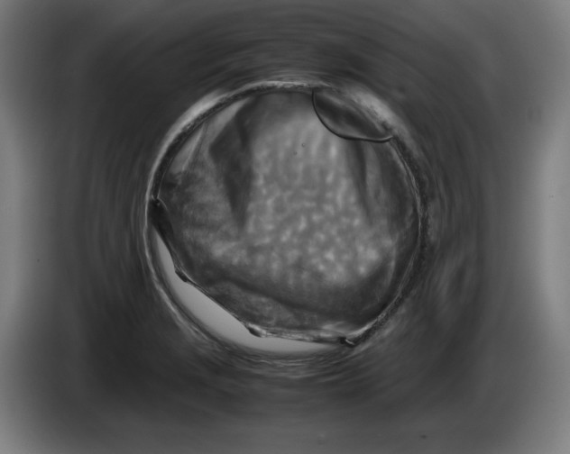 X0000085271229200703301847