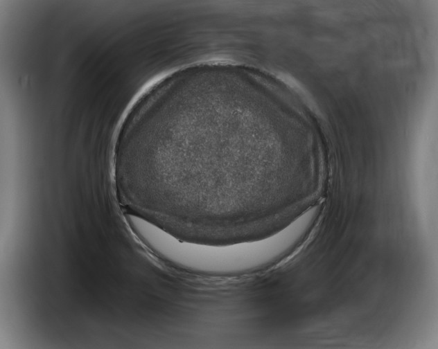 X0000085271232200703301847