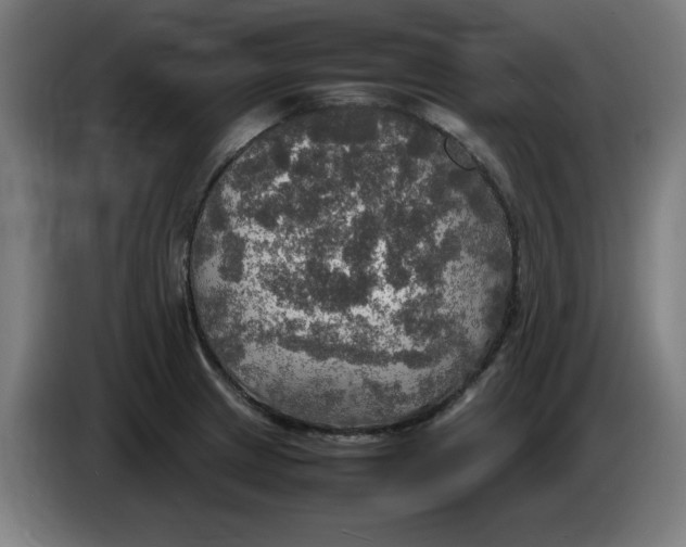 X0000085271233200703301847